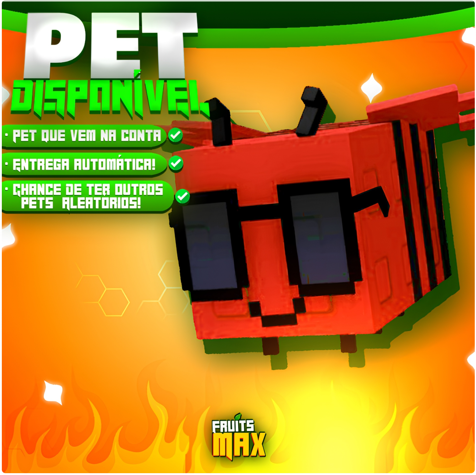 🐝 PET DISCOBEE